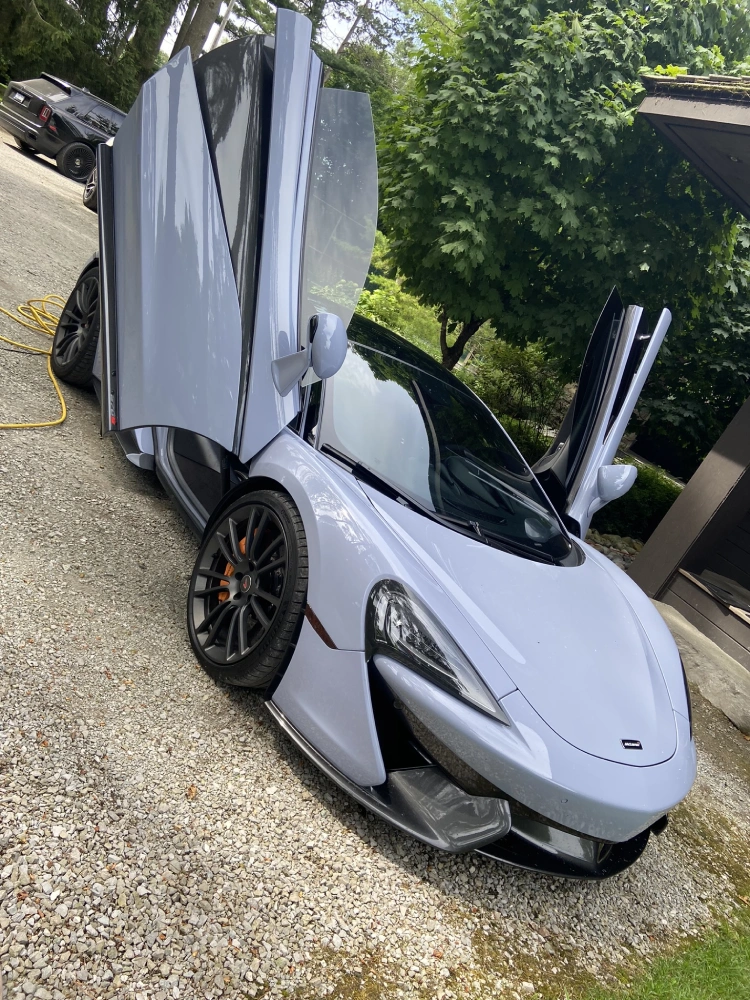 Ceramic Coating in Alcona